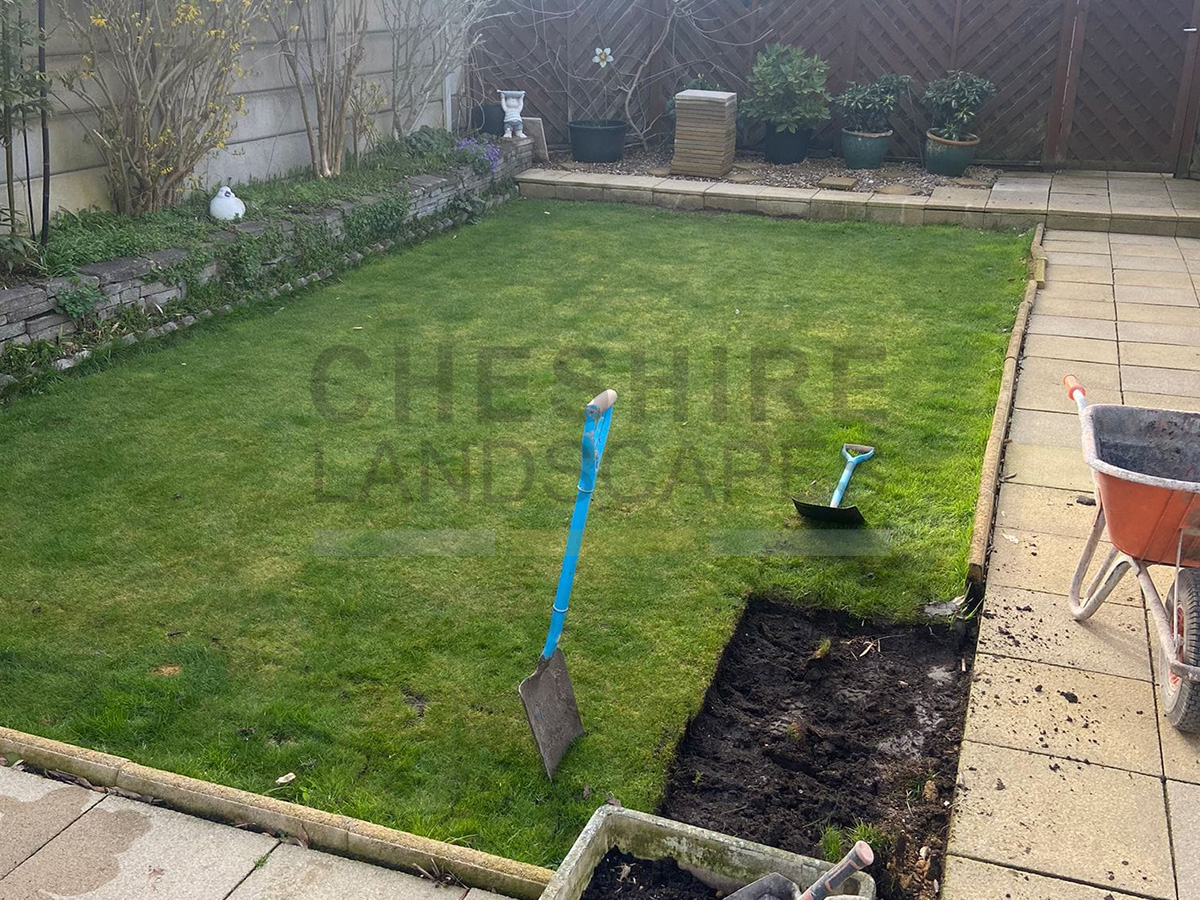 Lawn before Transformation